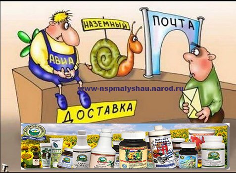 Доставка почтой продукции компании NSP с оплатой  наложенным платежом по Республике Беларусь